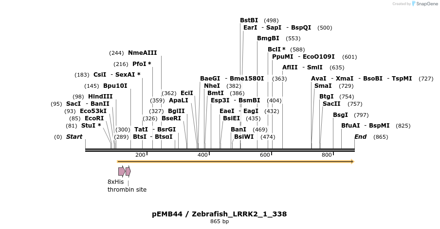 53812_map