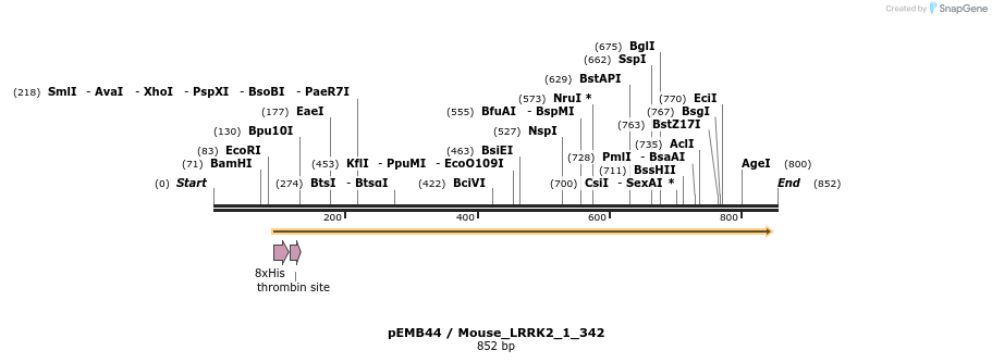 53814_map
