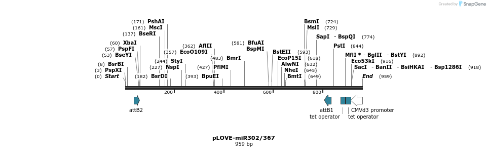 53817_map