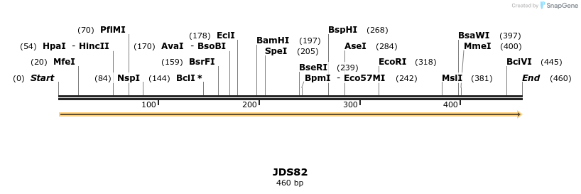 53818_map