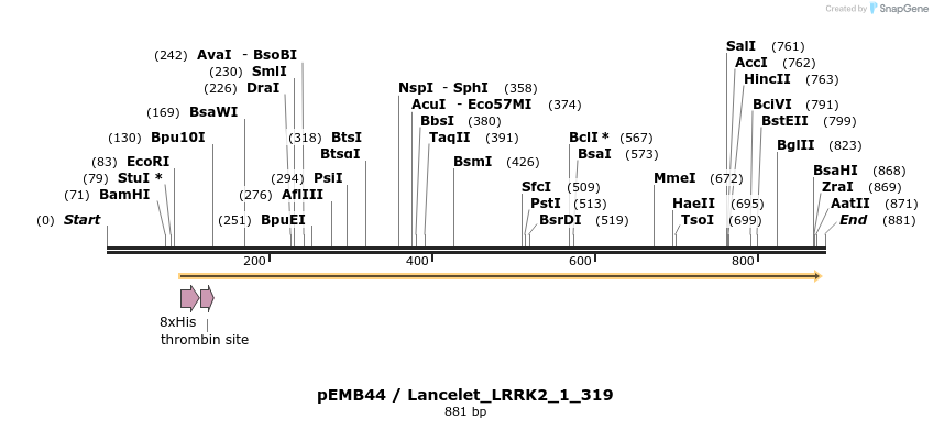 53819_map