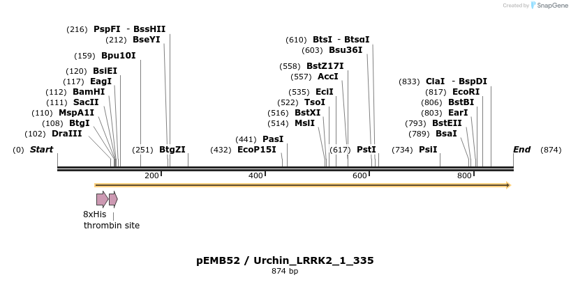 53822_map