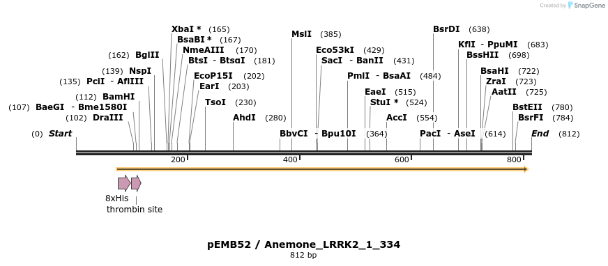 53824_map
