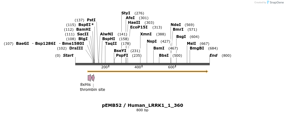 53826_map