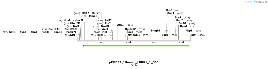 53827_map
