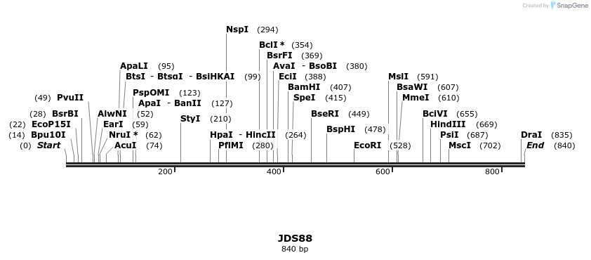 53828_map