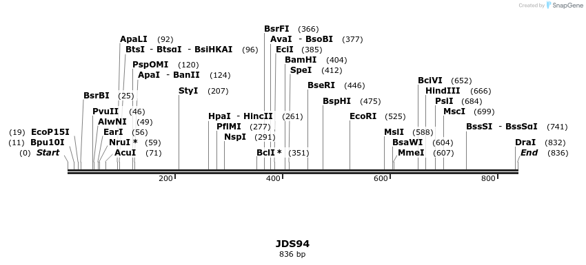 53831_map