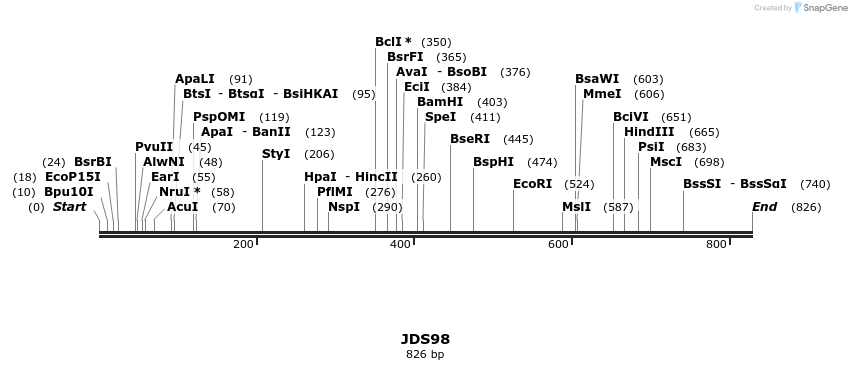 53832_map