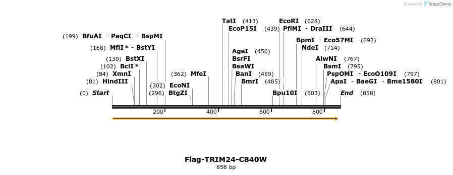 53846_map