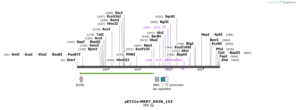 53847_map