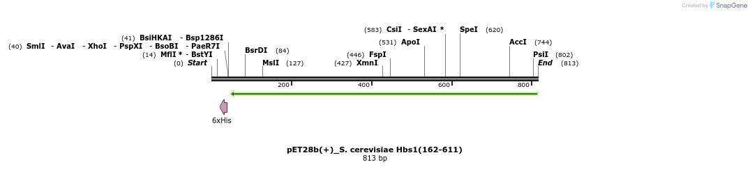 53851_map