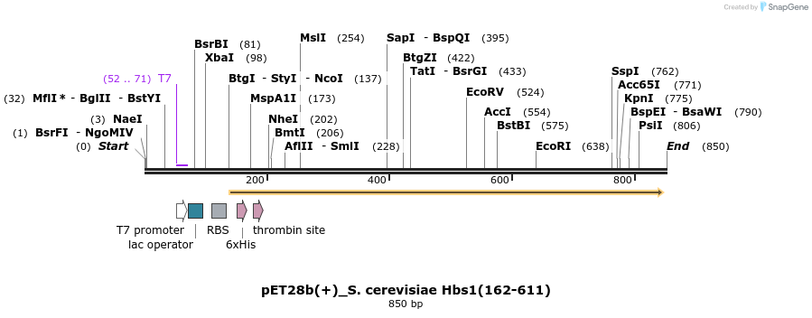 53852_map