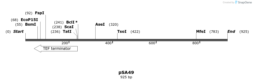 53856_map