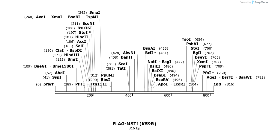 53873_map