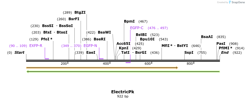 53878_map