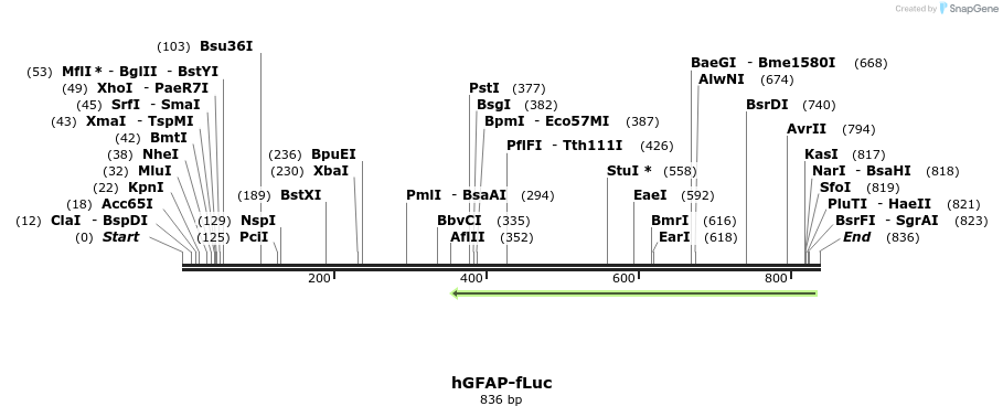 53882_map