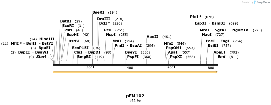 53887_map