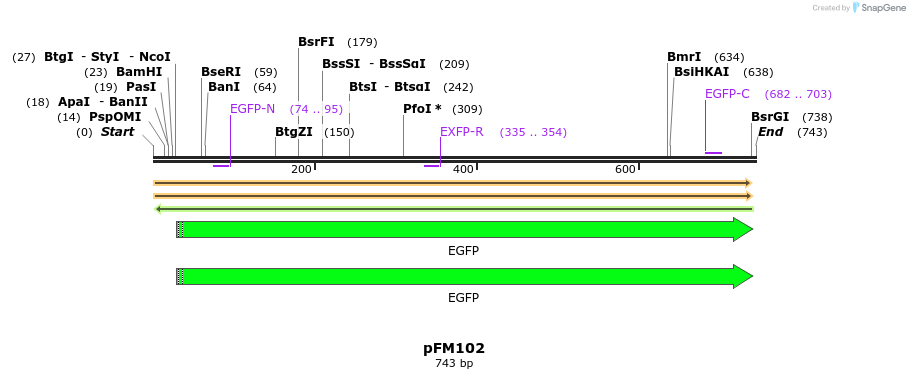 53890_map