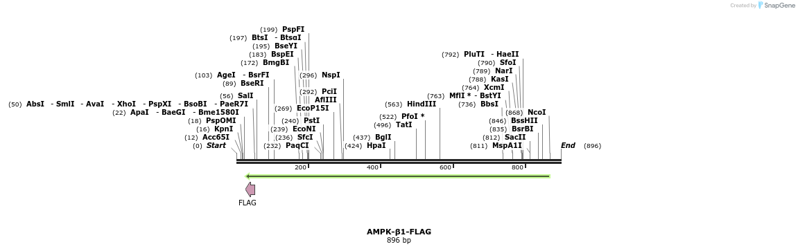 53895_map