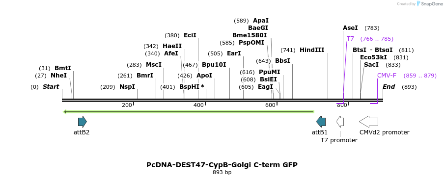 53898_map