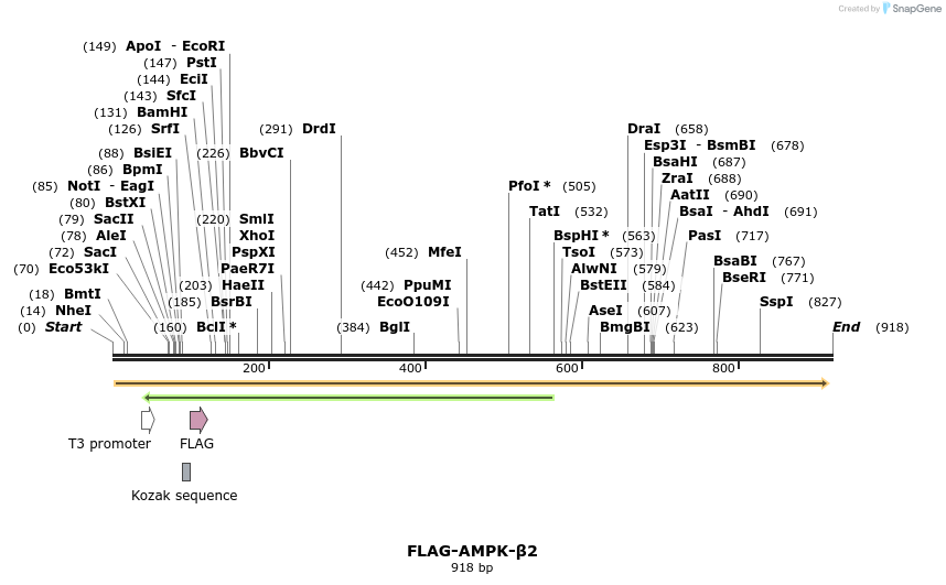 53899_map