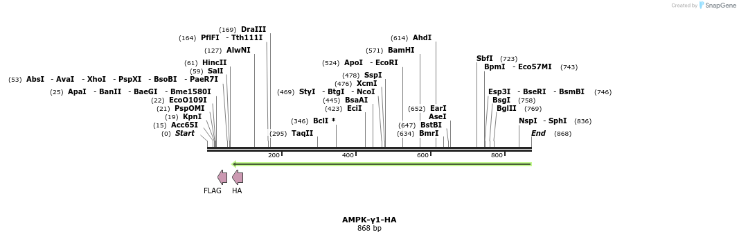 53908_map