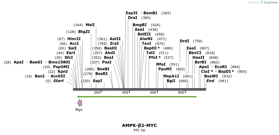 53909_map