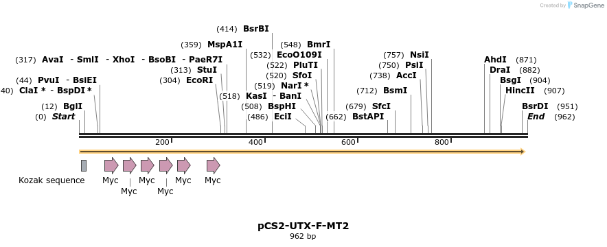 53911_map