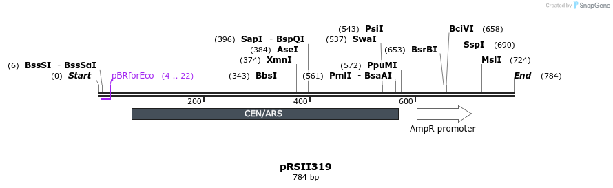 53915_map