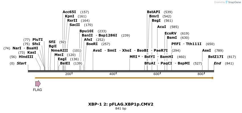 53923_map