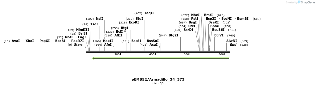 53925_map