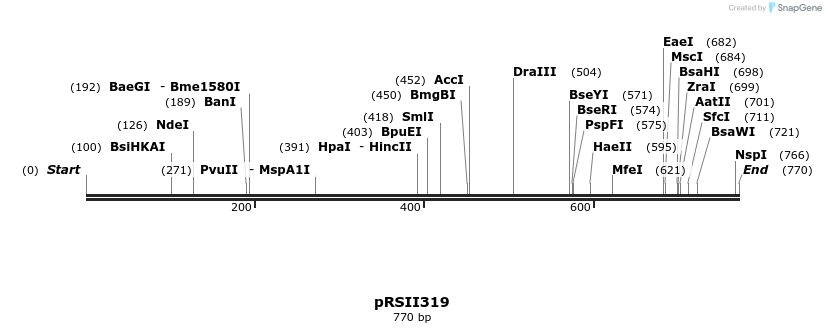53927_map