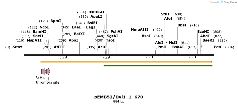 53929_map