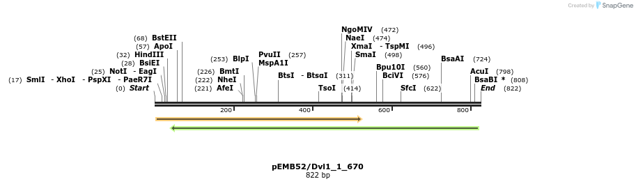 53930_map