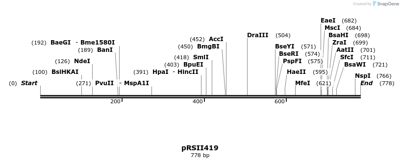 53931_map