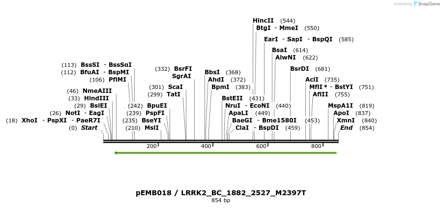 53943_map