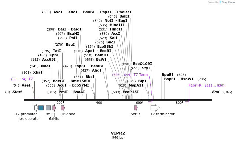 53954_map