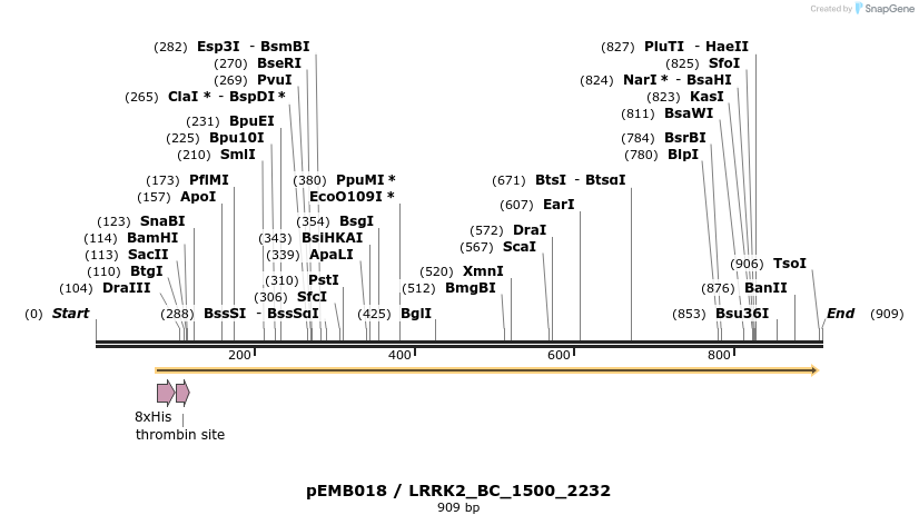 53959_map