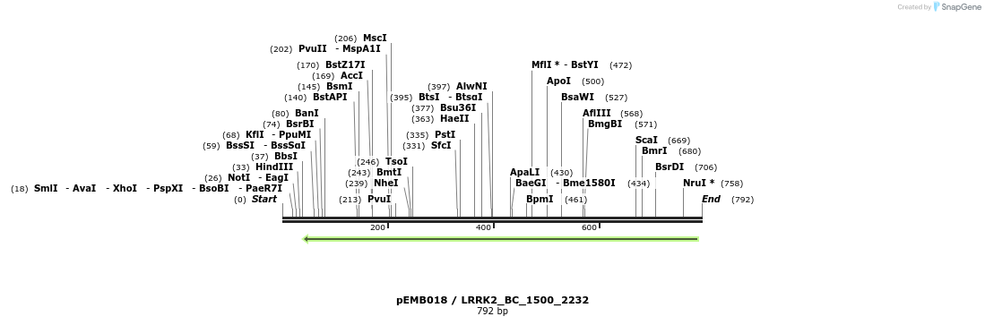 53961_map