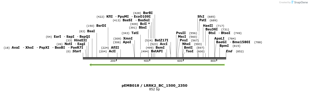53963_map