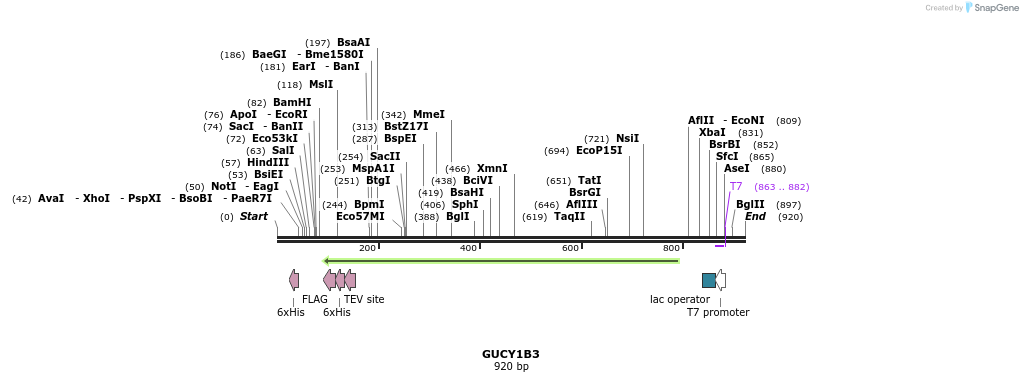 53965_map