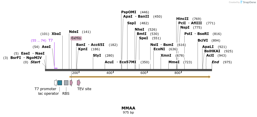 53969_map