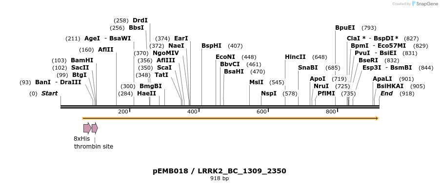 53972_map
