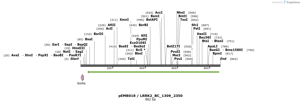 53973_map