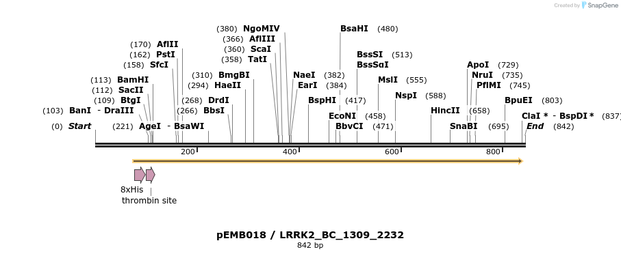53974_map