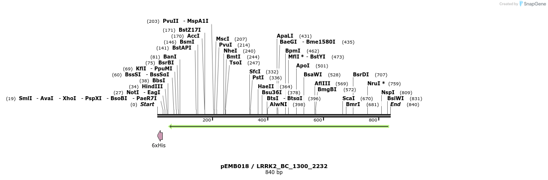 53977_map