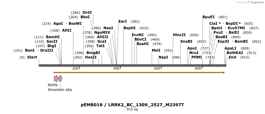 53981_map