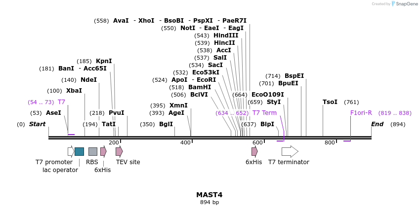 53983_map