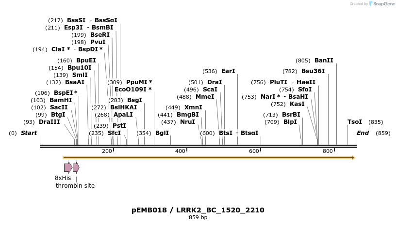 53988_map