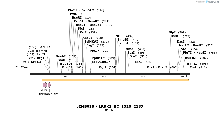 53990_map